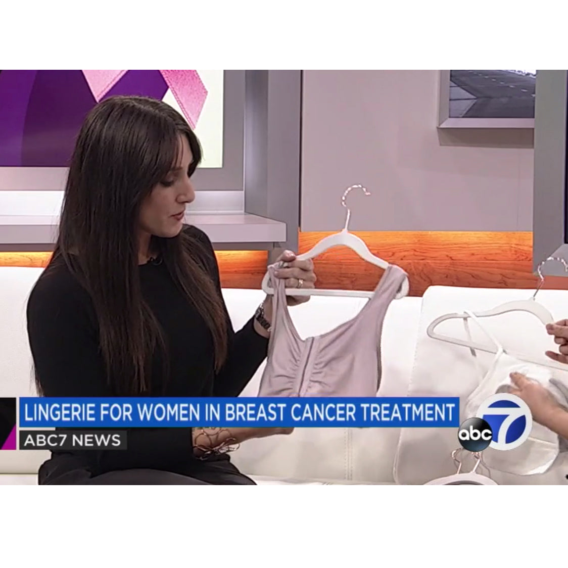 Everviolet In the News | ABC7