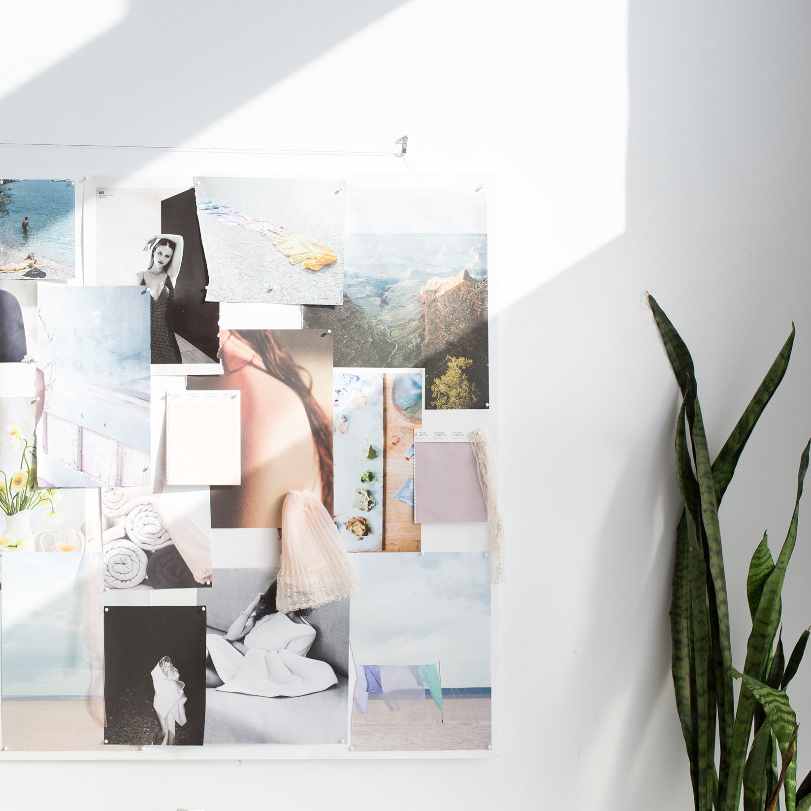 Everviolet: What We Stand For (And a note from our Founder)