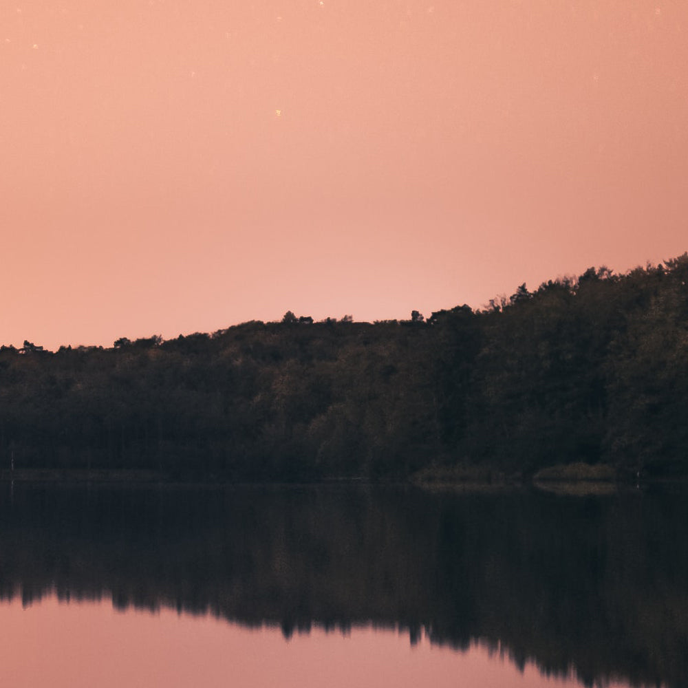 Fall Equinox Rituals to Bring in Balance & Gratitude