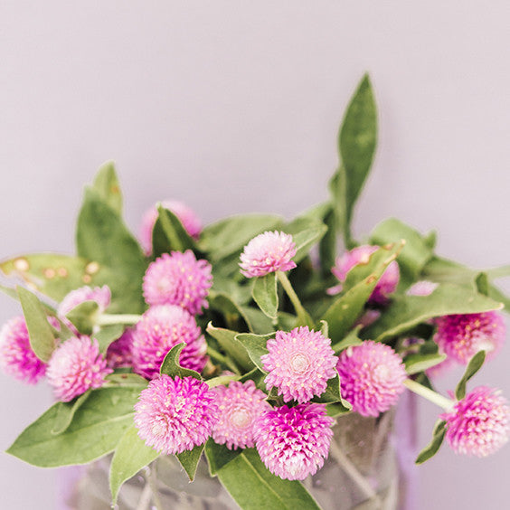 Spring Cleaning the Mind and Body