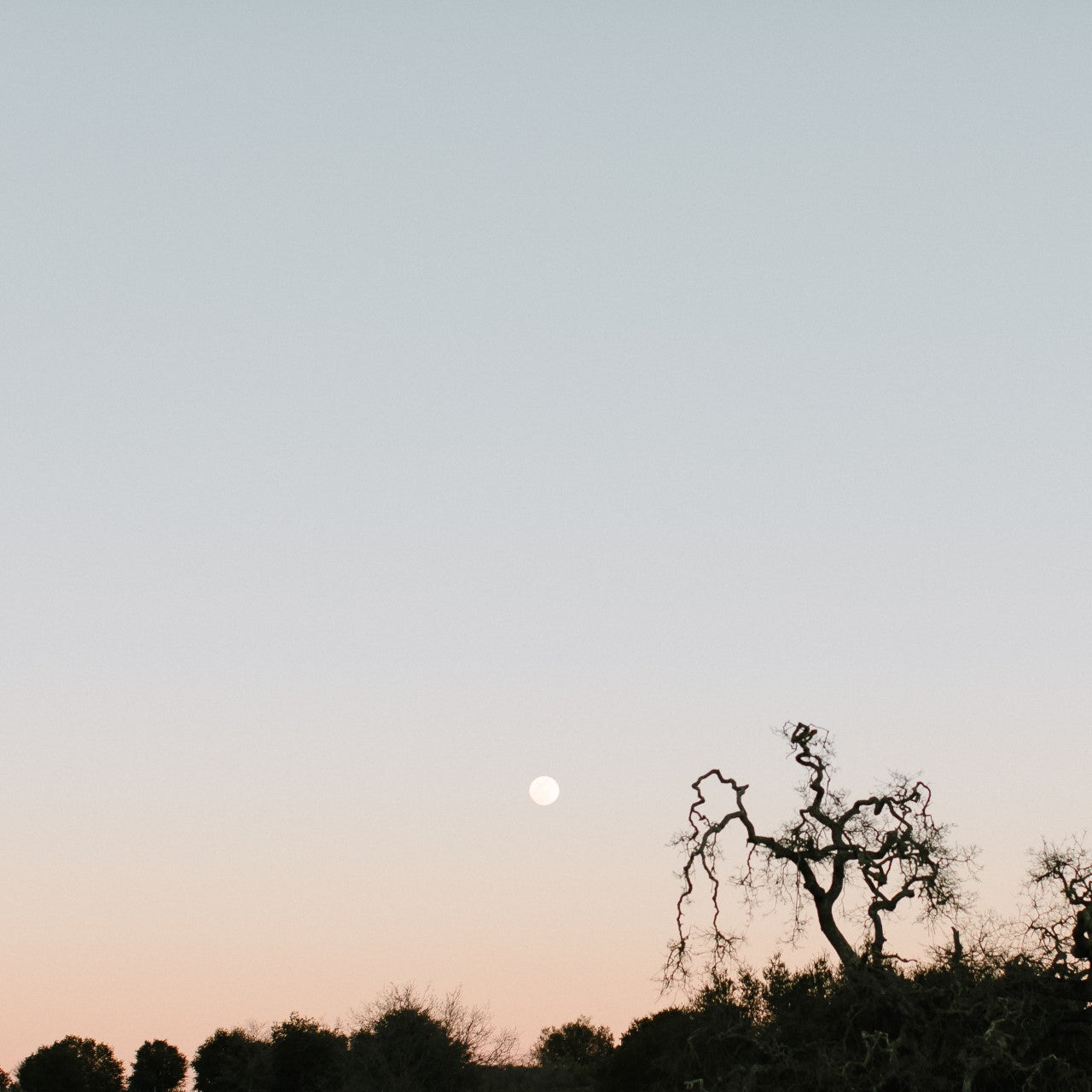 5 Powerful Rituals to Welcome in Spring